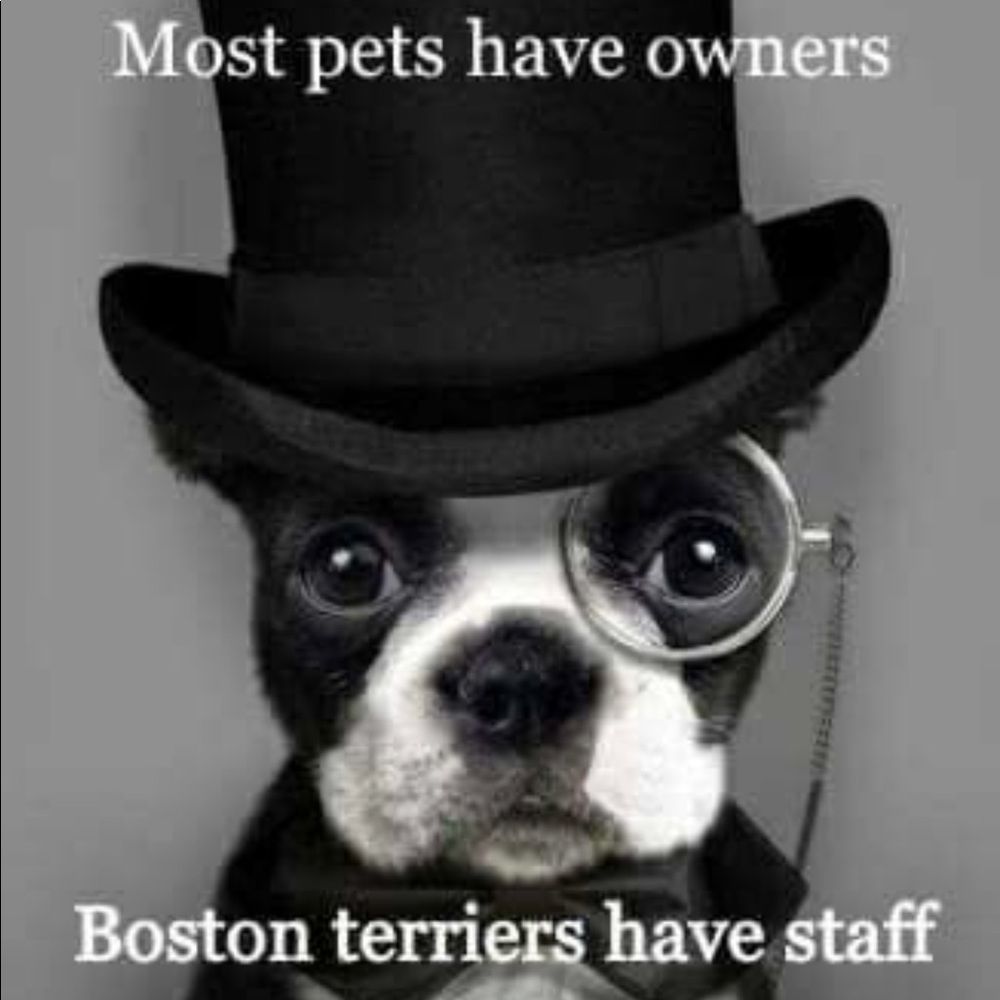 Meet your Posher, Renee